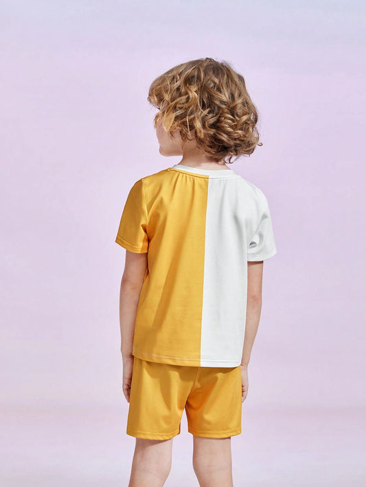 Young Boy Cartoon Graphic Colorblock Tee And Shorts Set