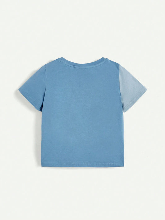 Baby Boy Color-Block Round Neck Short Sleeves Top And Shorts