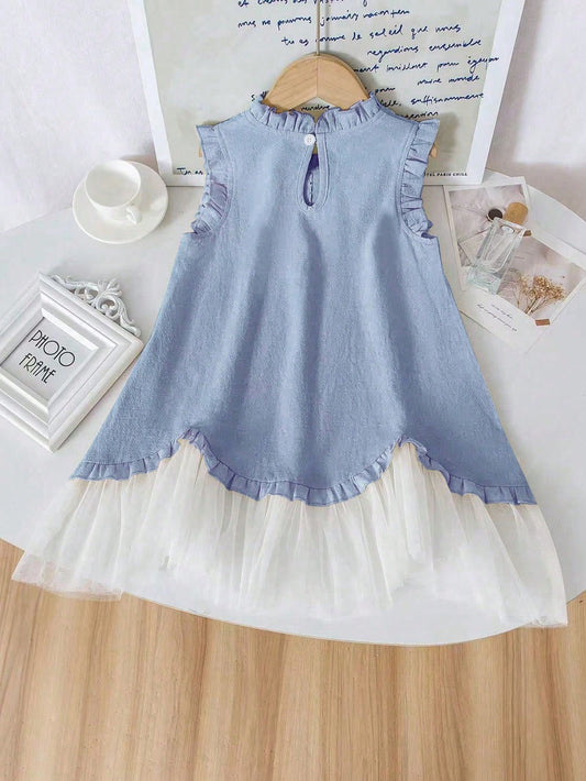 Young Girl Ruffle Trim White Mesh Dress