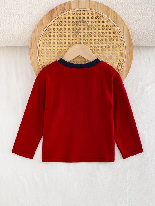 Young Boy Colorblock Letter Graphic Soft Knit Crew Neck Long Sleeve Pullover Top-S