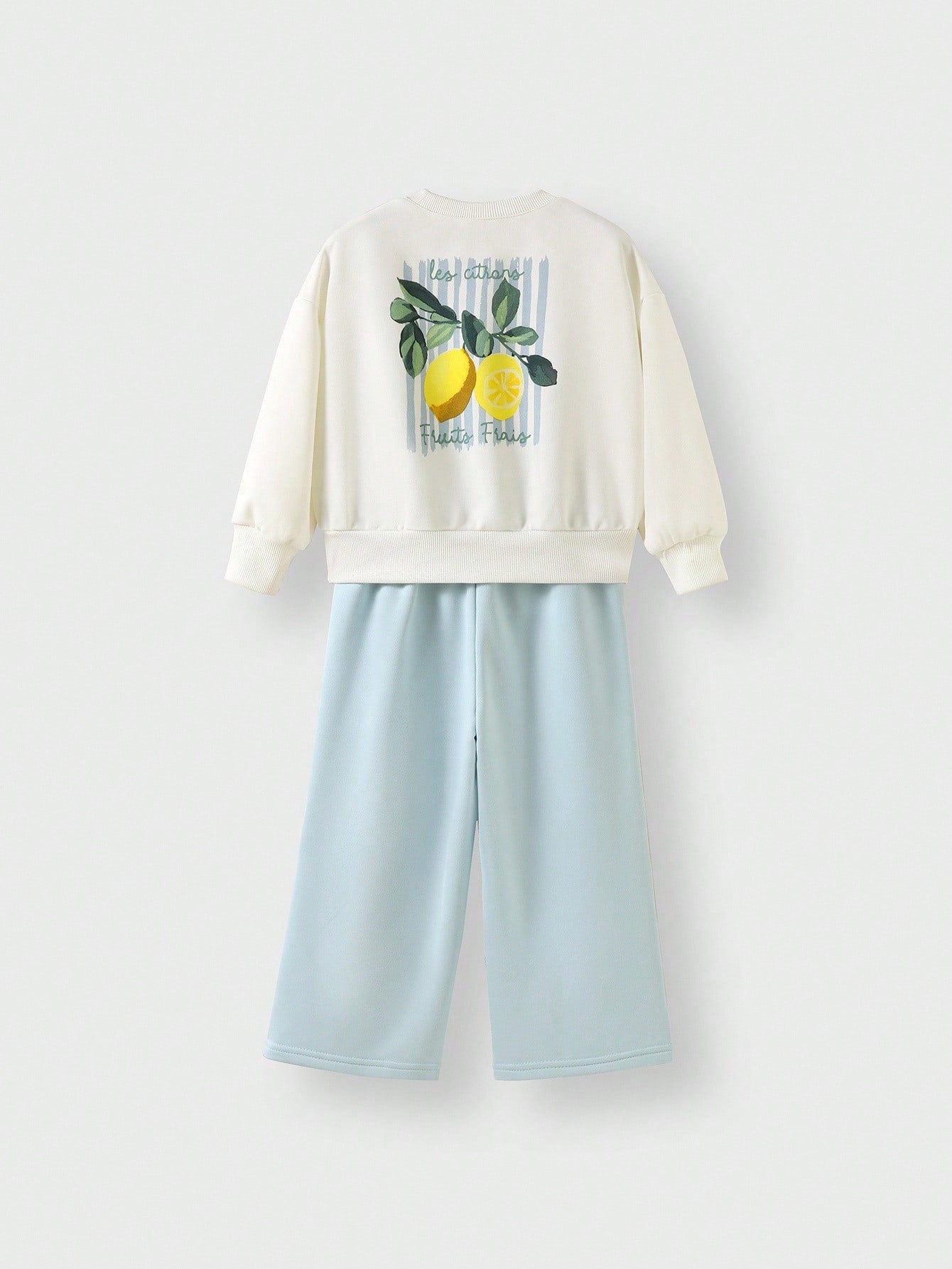 2pcs Young Boy Casual Set
