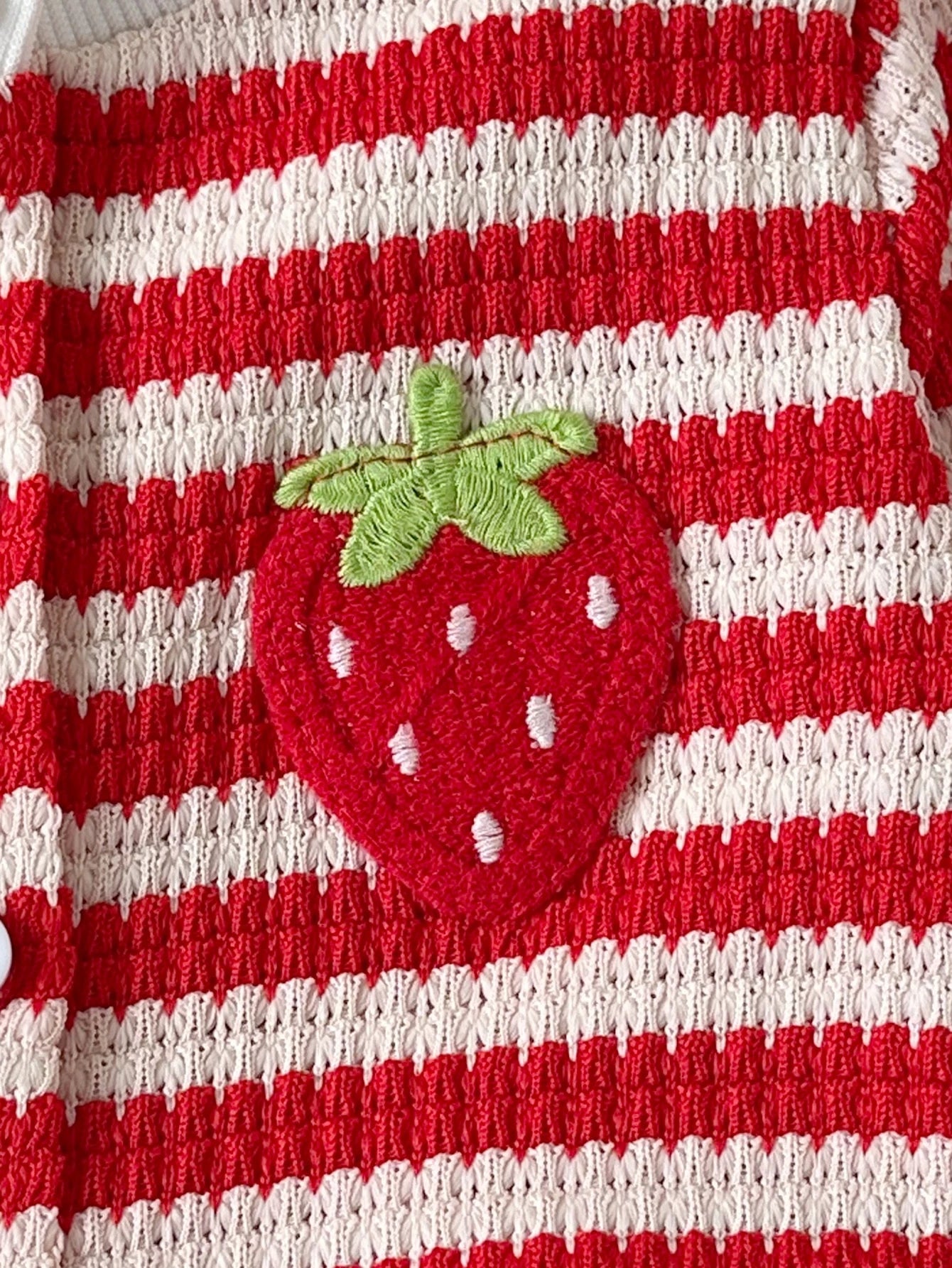 Strawberry Striped Embroidered Long Sleeve Round Neck Party Fall Holiday Outfits