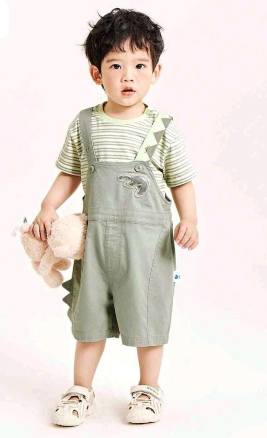 Dinosaur Embroidered Striped Tee & Suspender Romper Set
