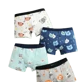 Boys Undergarments (3-7)